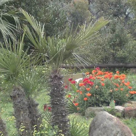 Bed & Breakfast Valli Verdi Alghero